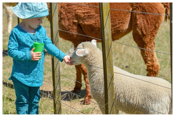 Individual Gift Vouchers