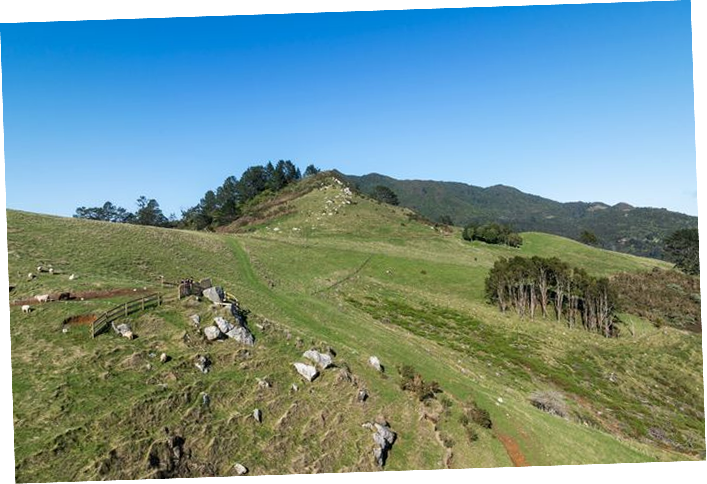 Meet Your Farm Stay Host