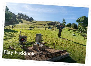 Play Paddock