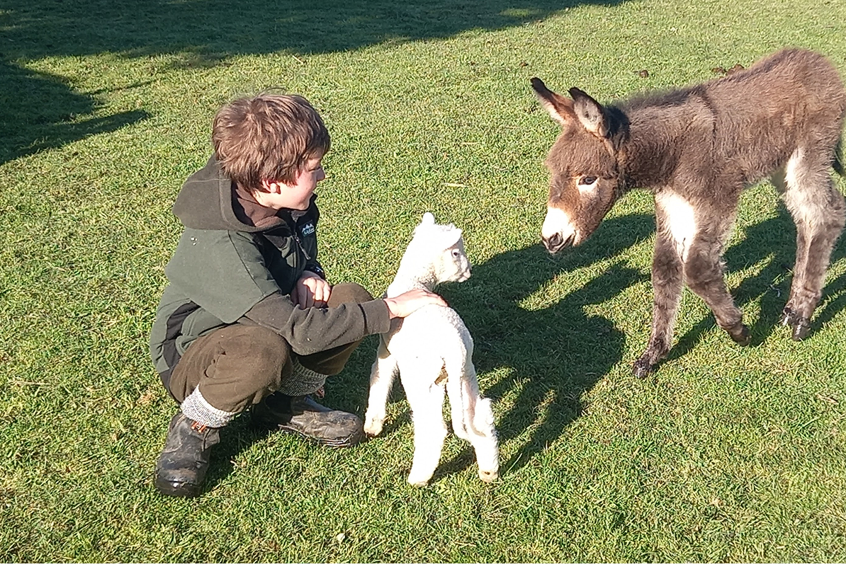 Breeding Stock