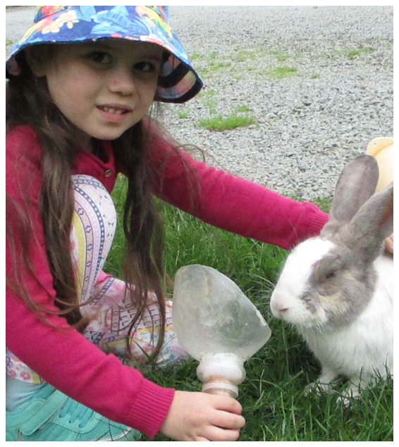 Rabbit