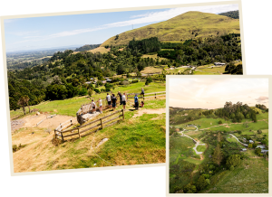 The southern coromandel