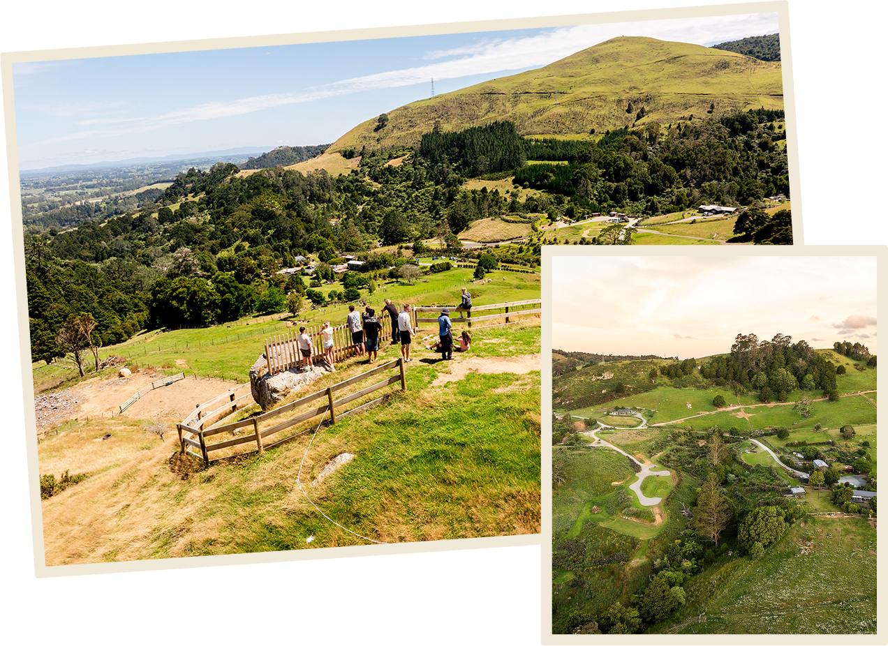 The southern coromandel