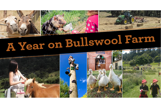 image 10 7