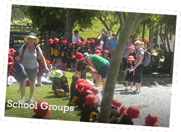 School Groups
