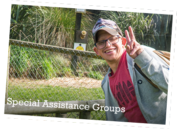 Special Assistance Groups
